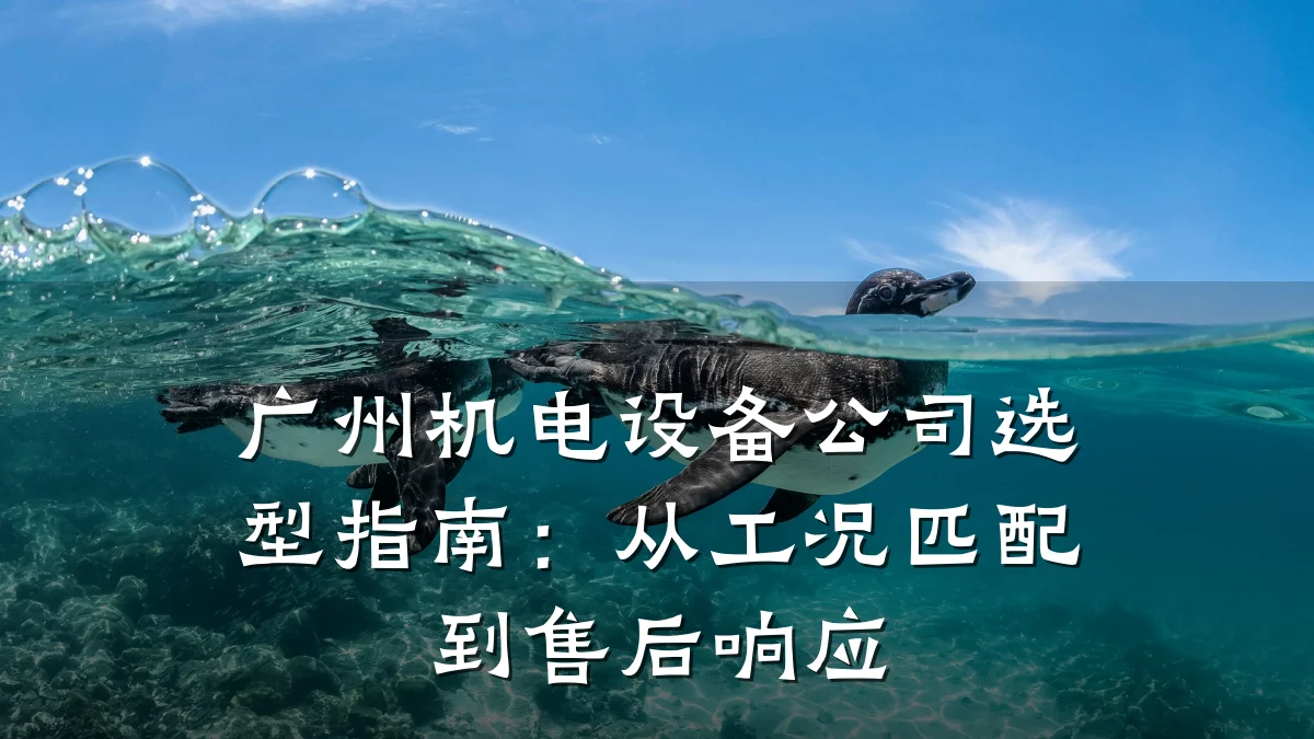 广州机电设备公司选型指南:从工况匹配到售后响应